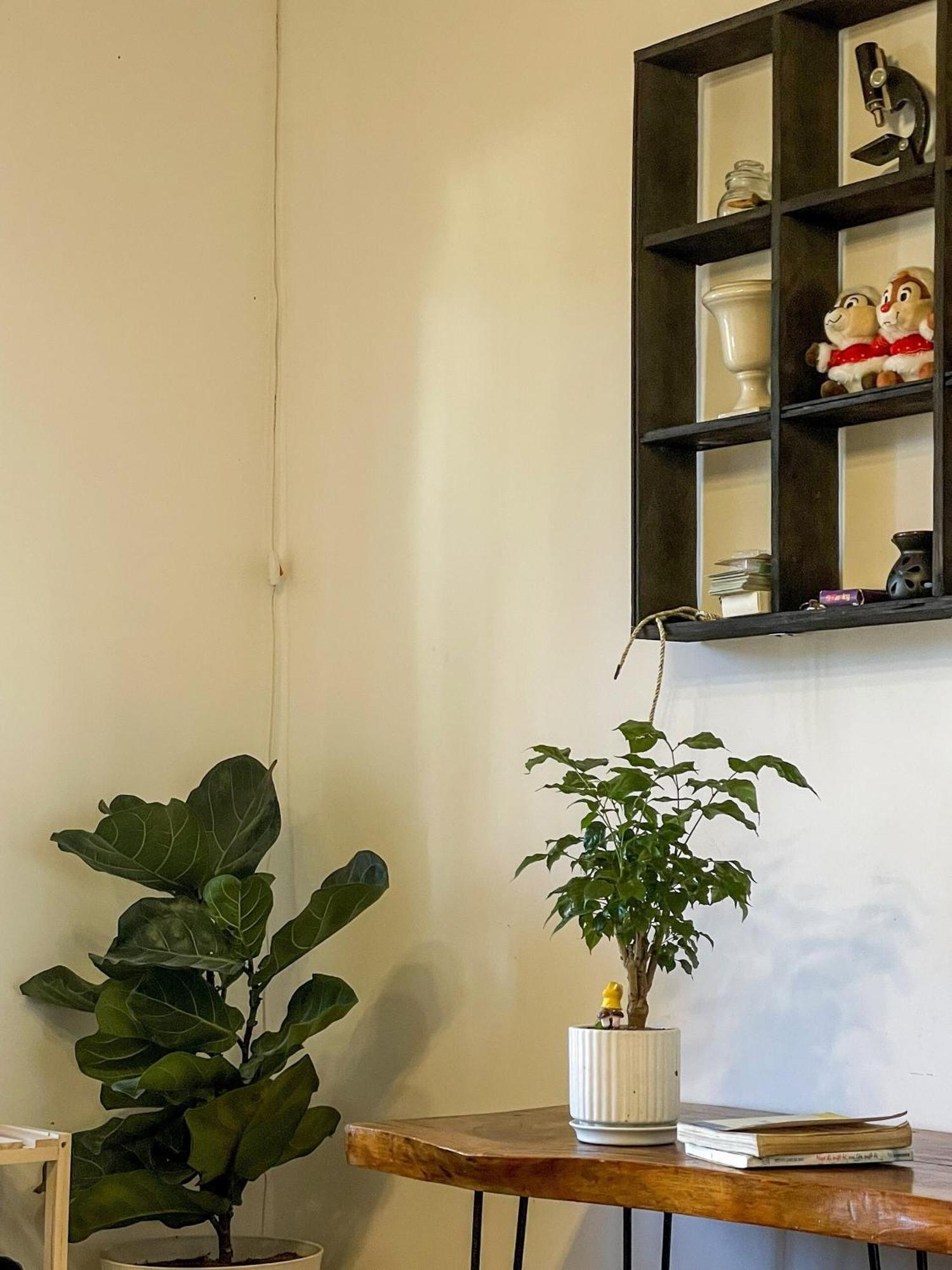 Hat De Homestay Da Lat Eksteriør billede