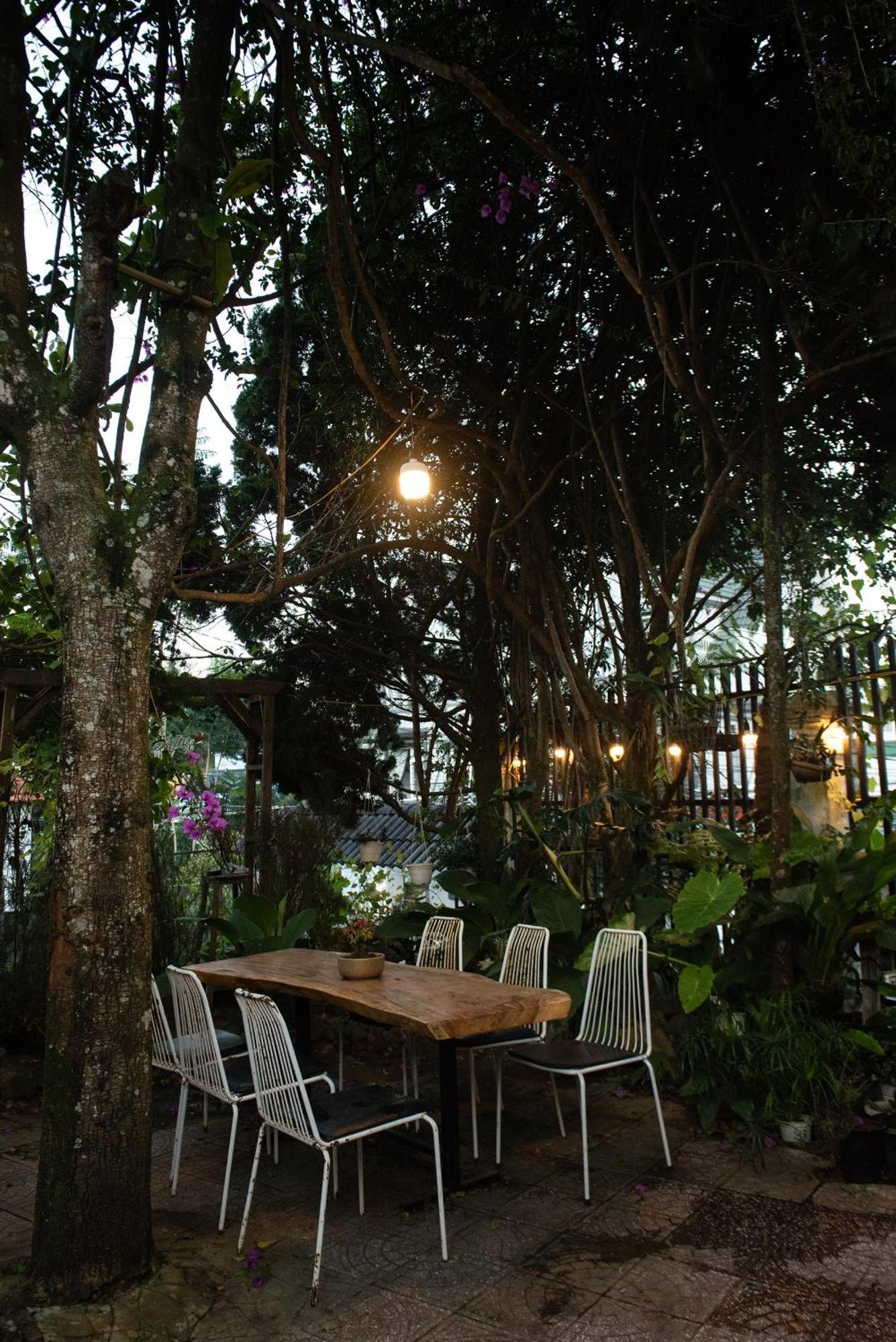 Hat De Homestay Da Lat Eksteriør billede