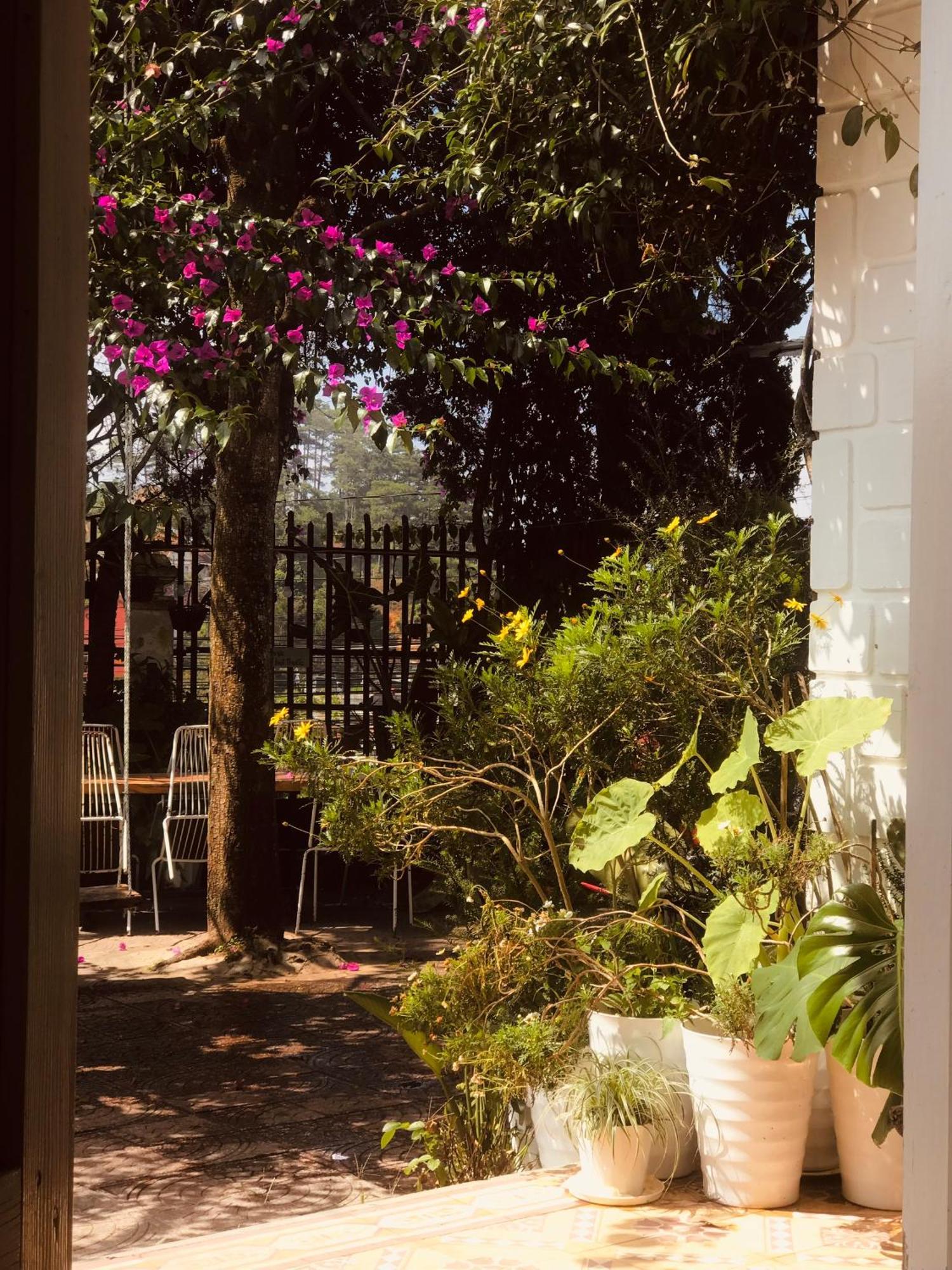 Hat De Homestay Da Lat Eksteriør billede