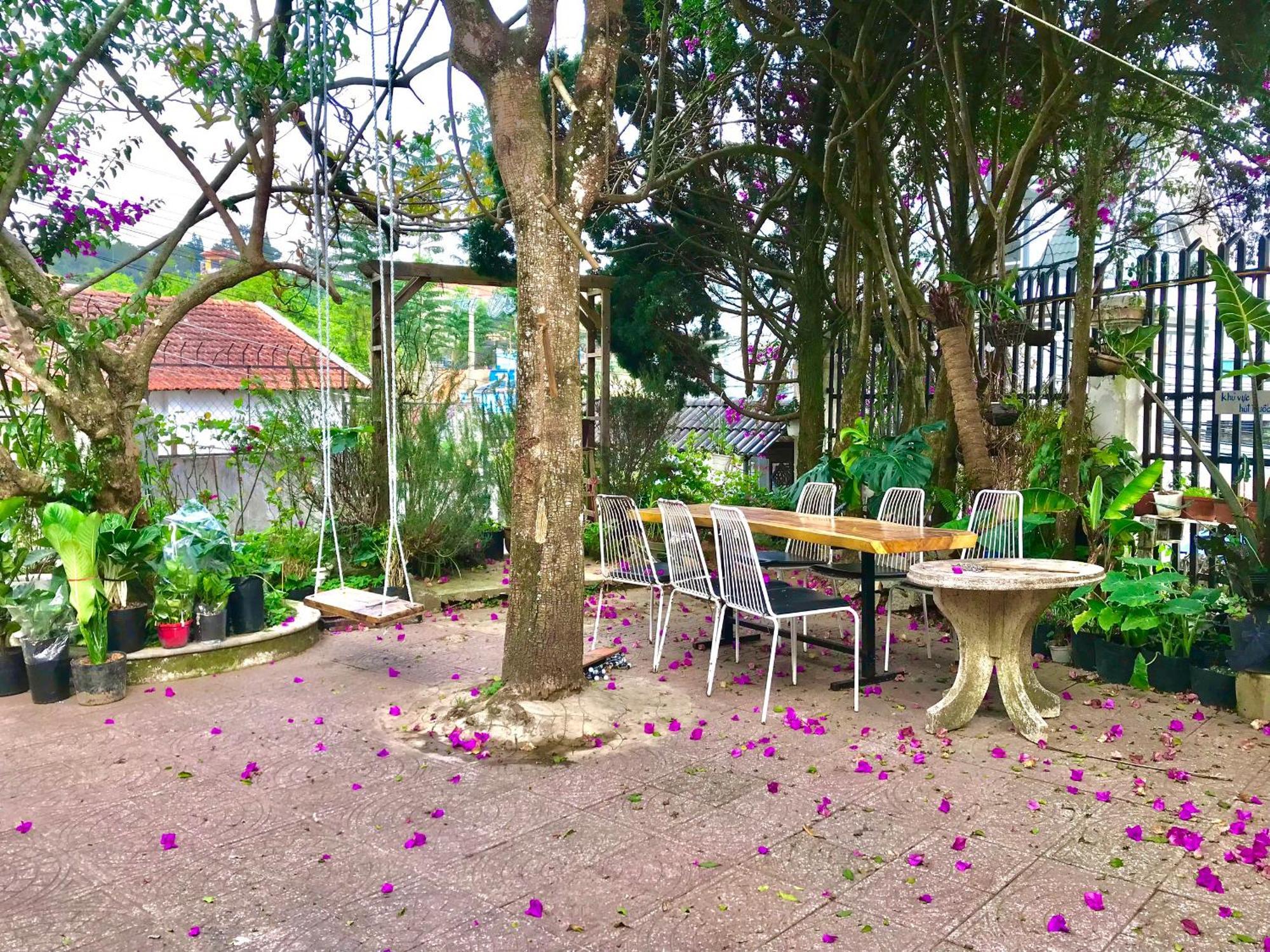 Hat De Homestay Da Lat Eksteriør billede